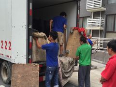 -北京兄弟达人搬家公司 全屋整理收纳还原