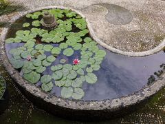 -都江堰普照寺