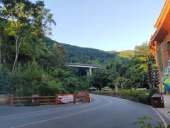 -西双版纳原始森林公园