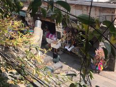 -香满楼(临安路店)