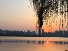 -天鹅湖体育公园