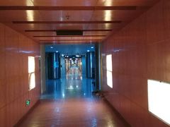 -广州市第二少年宫