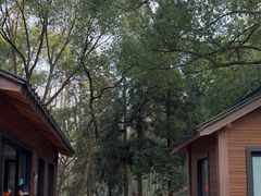-东明山森林公园