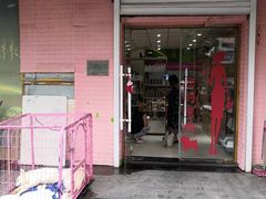 -喵百万·布偶·蓝金金渐层英短·猫舍(百子湾店)