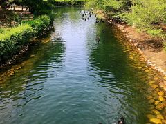 -长白岛森林公园