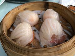 -西苑半岛·中餐厅
