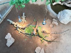 -西霞口神雕山野生动物世界