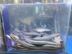 -本炙炭烤·蒲烧活鳗料理店(金沙洲店)