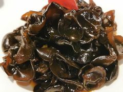 山菌黑木耳-申粤轩酒楼·三十年粤菜经典(丁香花园店)