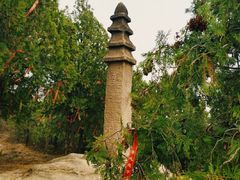 -白水寺森林公园