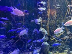 -华夏文旅海洋公园