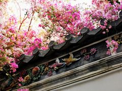 -深圳国际园林花卉博览园