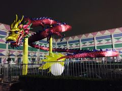 -锦江乐园舞狸花花游园会(夜场专享)