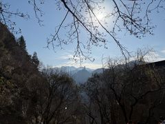 -都江堰石锅鱼