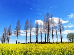 -沙河三洞古桥公园