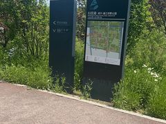 -上海浦江郊野公园-5号停车场