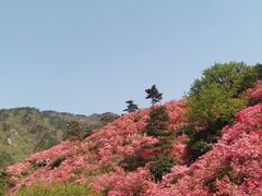 -木兰云雾山
