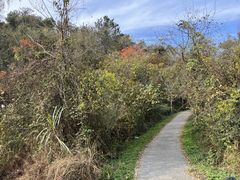 -青龙山国家森林公园