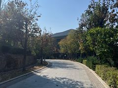 -北京中信金陵酒店