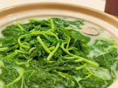 -利苑酒家(金宝店)