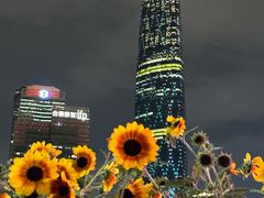 -海心沙亚运公园