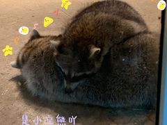 -二一九公园