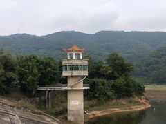 -东莞市大岭山森林公园
