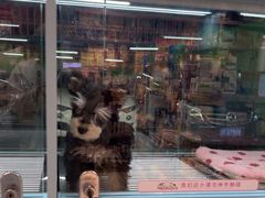 -FAELING PETS美天灵宠物(合生汇店)