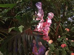 -NLFS1983咖啡花园餐厅(锦桂店)