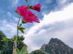 -孤山寨风景区