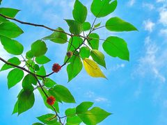 -禅宗少林·音乐大典