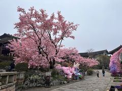 -茅山东方盐湖城景区