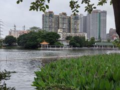 -荔湾湖公园