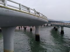 -演武大桥观景平台