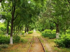 -永定河休闲森林公园