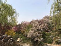 -石家庄市植物园