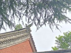 -洛阳白马寺