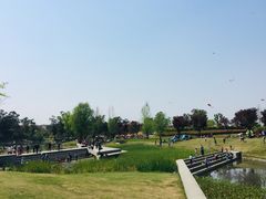 -两河城市森林公园