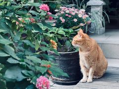 -默迹咖啡馆