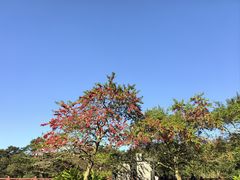 -广州市石门国家森林公园