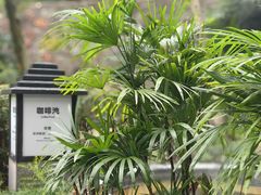 -融汇温泉