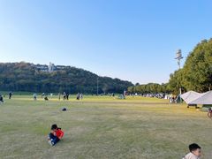 -羊山湖公园