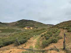 -嵛山岛