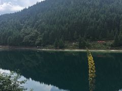 -武陵山森林公园
