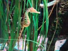 -沈阳海洋探索中心