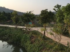 -丹樱生态园