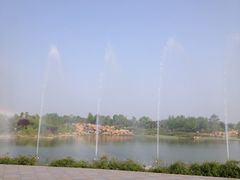 -曹州牡丹园