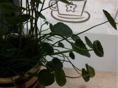 iphone_upload_pic-小团圆糖水铺(襄阳南路店)