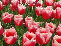 -无锡梅园公园