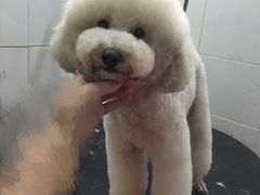 -萌萌喵宠物(百水芊城阅水坊店)